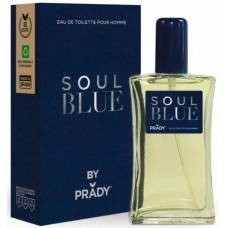 PRADY EDT SOUL BLUE HOMME 100 ML EAN 8423564086396