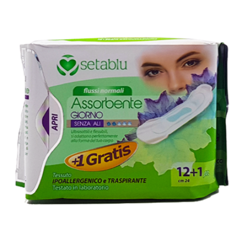 SETABLU PENSOS HIGIENICOS DIA SEM ABAS PACK 13 UND EAN 8059174593049