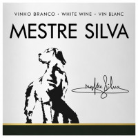 MESTRE SILVA