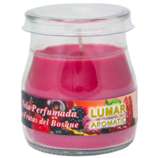 LUMAR VELA COPO IOGURTE PERF FRUTAS DO BOSQUE  EAN 8428451090166