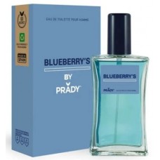 PRADY EDT BLUEBERRY`S HOMME 100 ML  EAN 8423564002501 