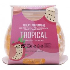 CASA DOS AROMAS AMBIENTADOR PERLAS 100 G TROPICAL  EAN 8428390061302  