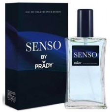 PRADY EDT SENSO HOMME 100 ML  EAN 8423564067111